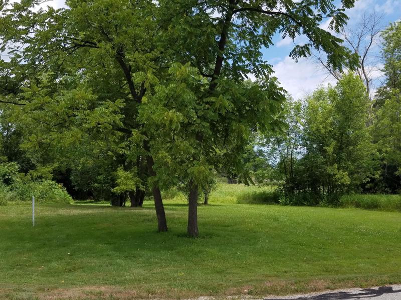 Lot 18; 239th Ave. Paddock Lake, WI 53168